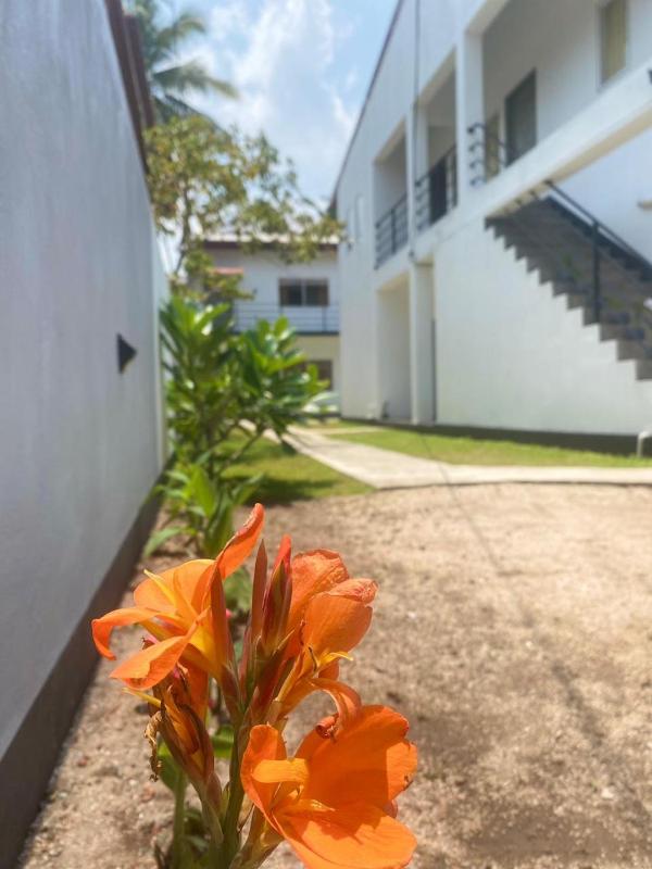 Apartments near Airport - Negombo - image 42