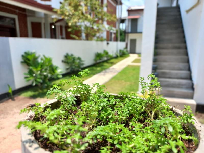 The Anchorage Holiday Apartments - Negombo - image 16