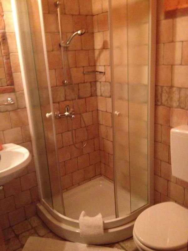One-Bedroom Apartment (5 Adults) image 3