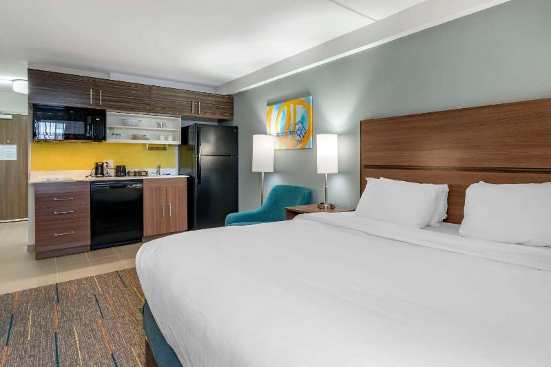 Efficiency King Suite - Accessible/Non Smoking image 1