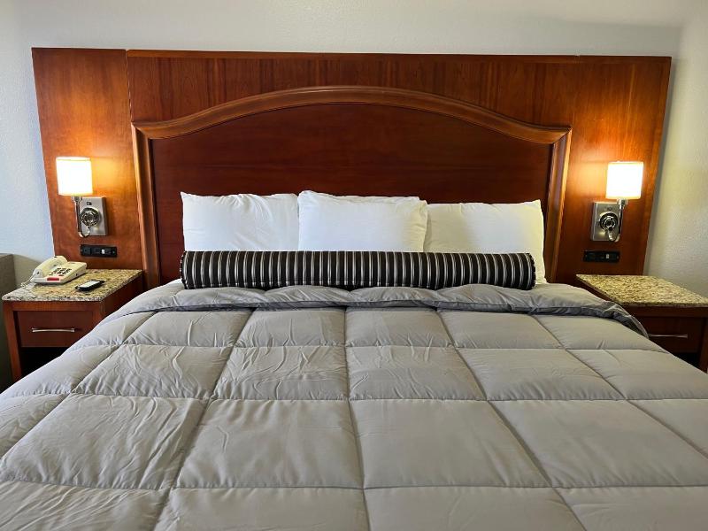 Deluxe King Room image 1