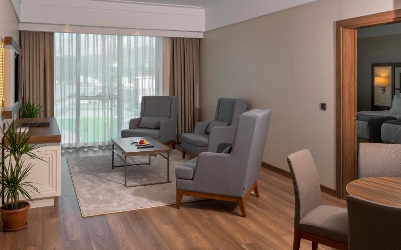 Queen Suite image 4
