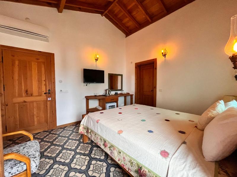Deluxe Double Room image 4
