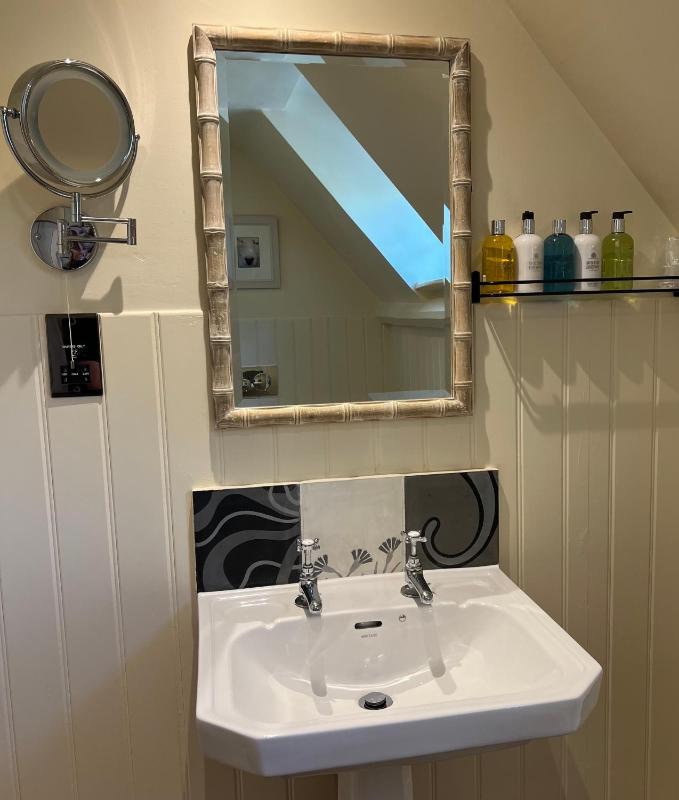 Family Room with Shower image 2