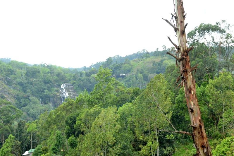 Chamodya Home Stay - image 45