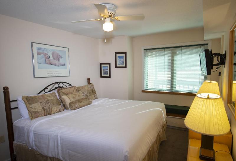 One-Bedroom Apartment image 2