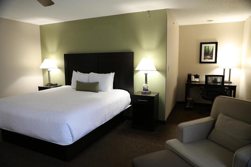 1 King Bed, Studio Suite, Non-Smoking image 4