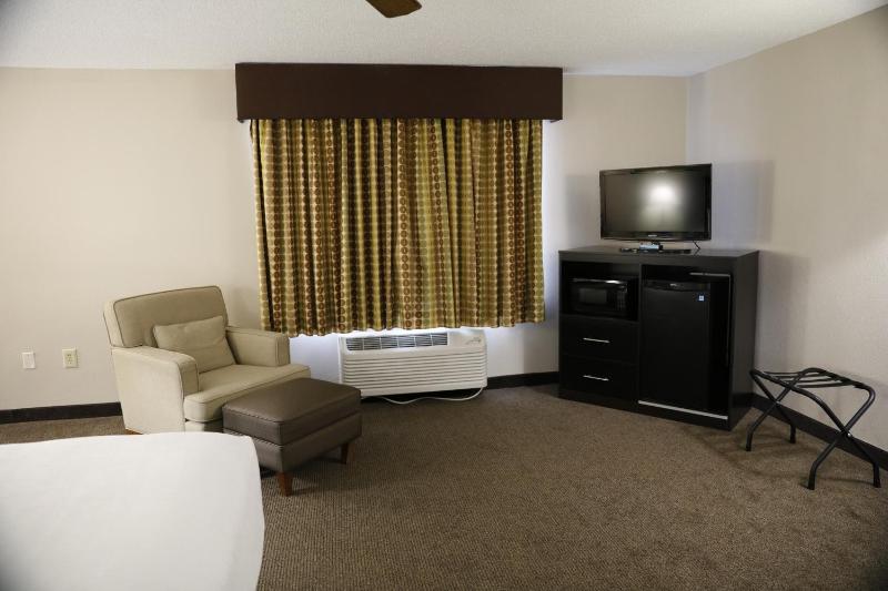 1 King Bed, Studio Suite, Non-Smoking image 2
