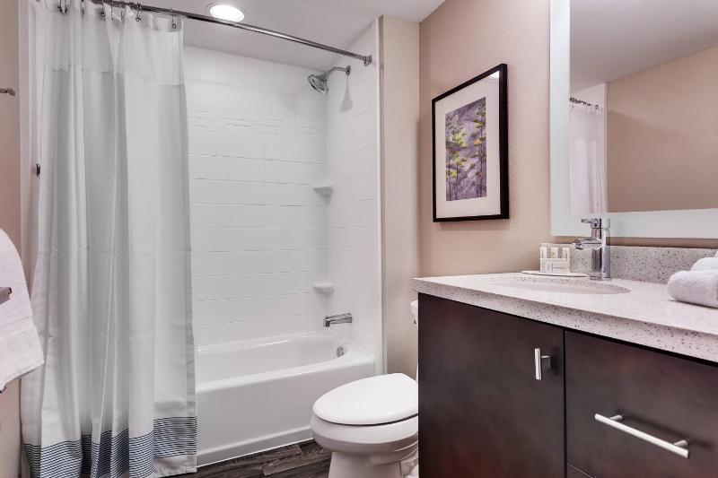TownePlace Suites by Marriott Austin Parmer/Tech Ridge - image 11
