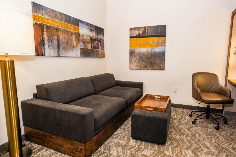SpringHill Suites by Marriott San Antonio Alamo Plaza/Convention Center - image 19