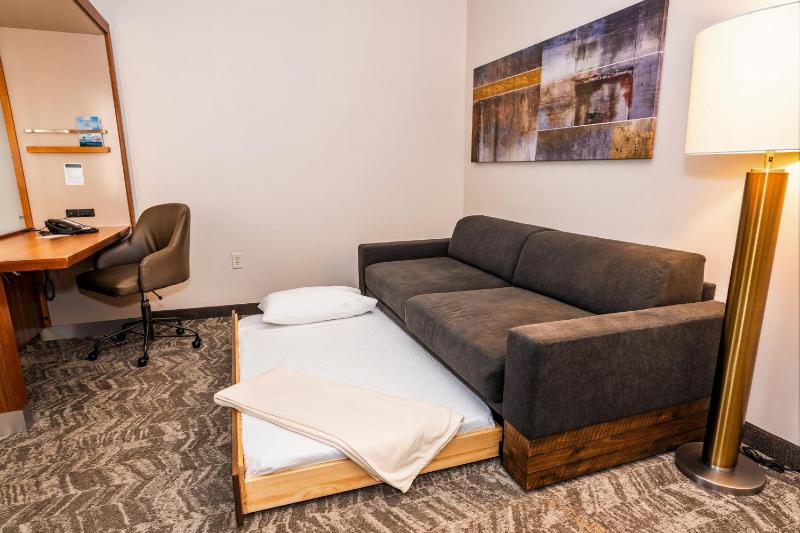 SpringHill Suites by Marriott San Antonio Alamo Plaza/Convention Center - image 18