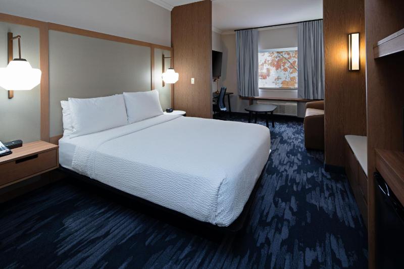 Large Spacious, Suite, 1 Queen image 2