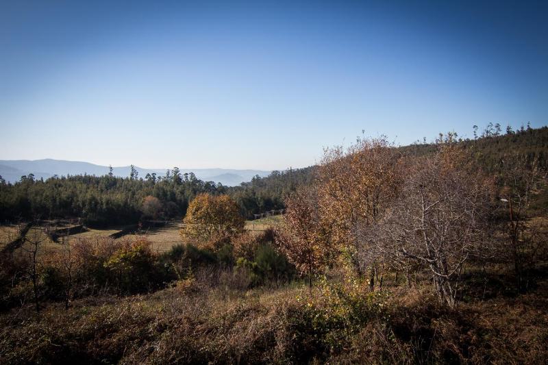 Two-Bedroom House image 4