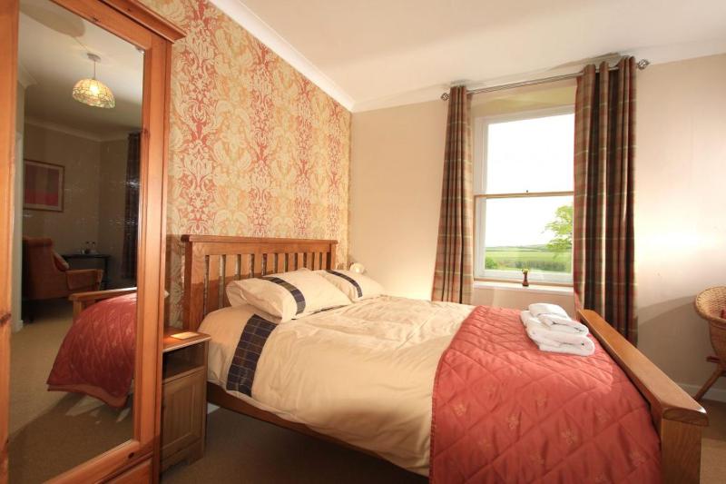 Standard King Room image 1