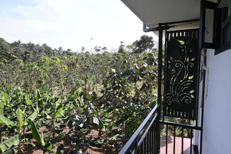 Moonglade Service Villa - image 6