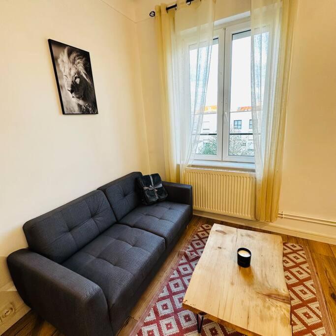 Nancy-Place A2D petit appartement Nancy Thermal ARTEM - image 6