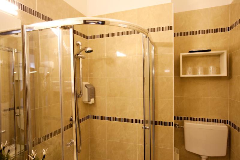 Large Single Room image 3
