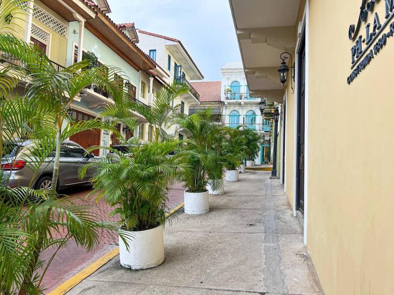 Amazing experience Casco Viejo 5 - image 6