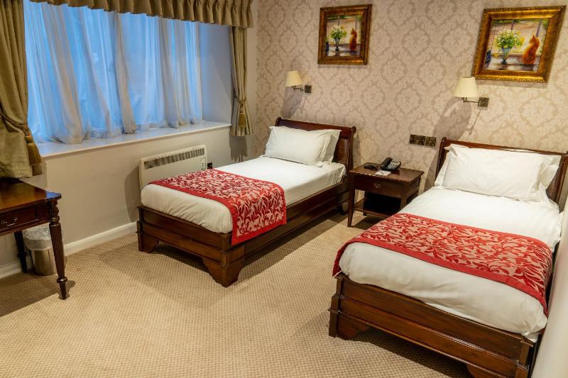 Classic Twin Room image 2