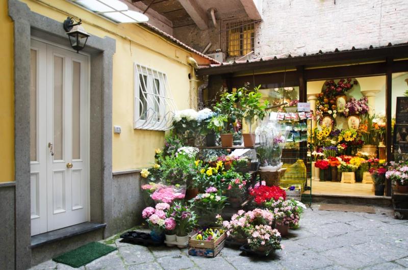 Casa Tonia San Cesareo - image 16