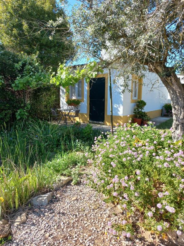 Studio with Garden View image 1
