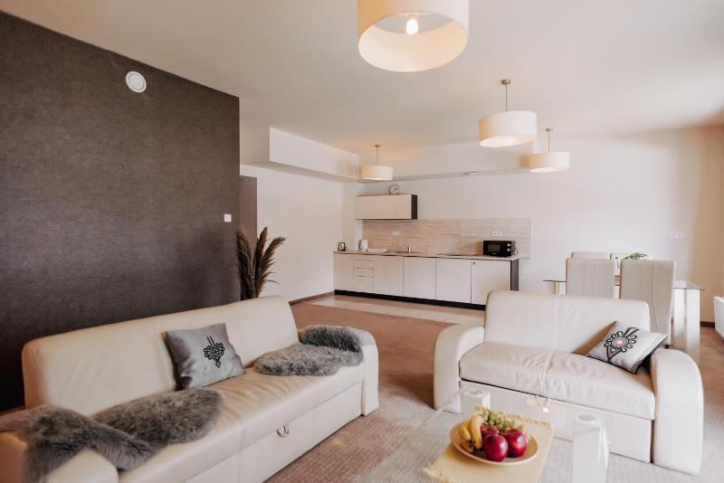 One-Bedroom Apartment image 4