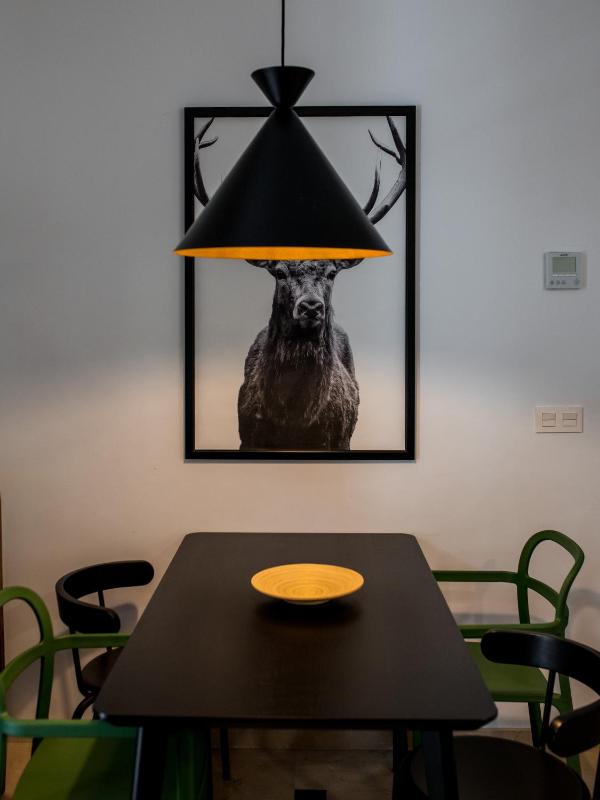 Superior Apartment image 1