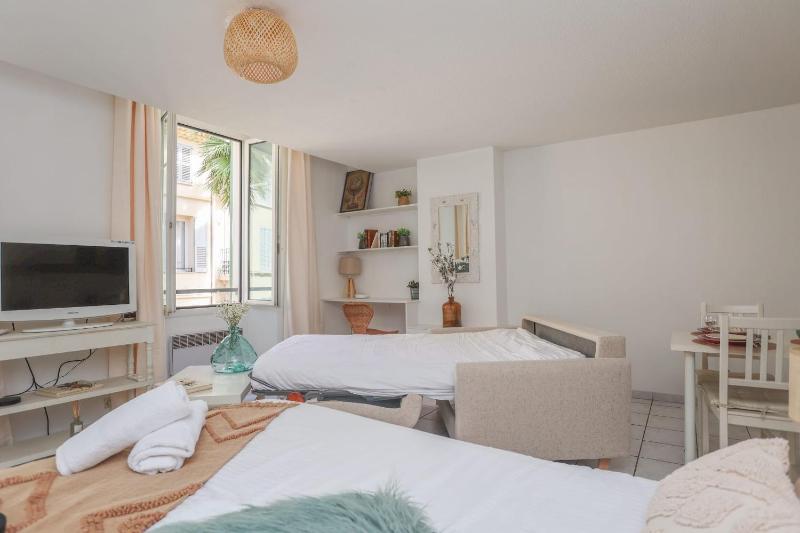 Upstays - Best place in Cannes Center - A C - 5 - image 14