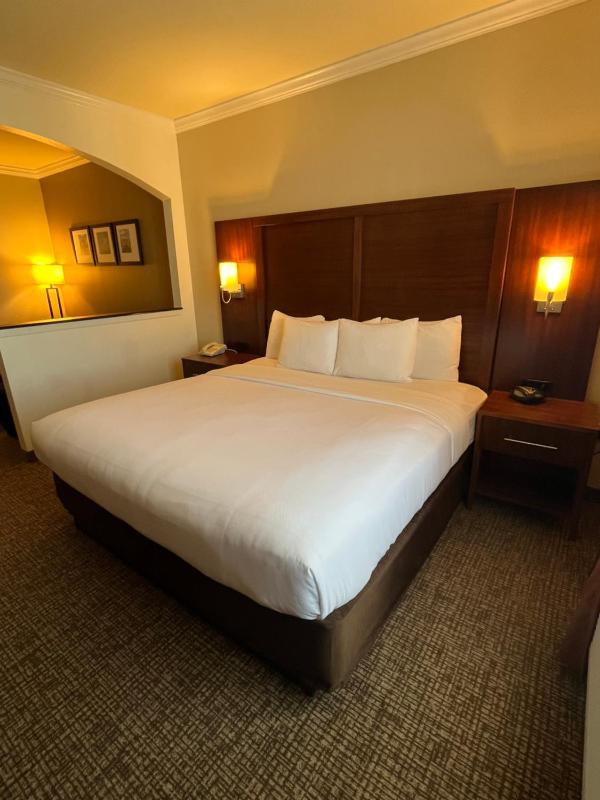 King Suite - Non-Smoking image 1