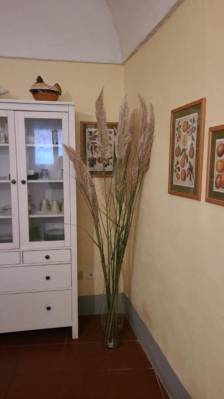 Luisa in Palazzo Bianchi - image 29