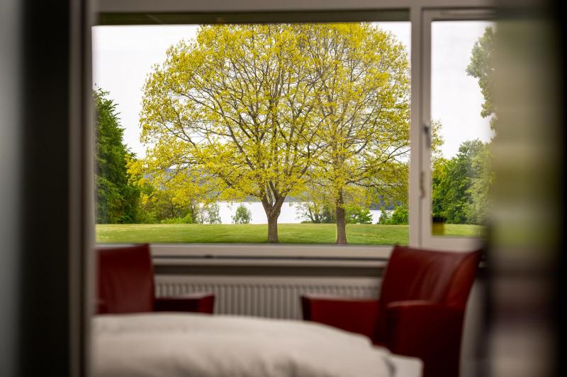 Double or Twin Room with Lake View image 3