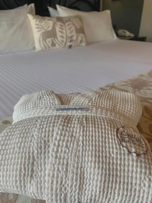 Hotel Zocalo Central - image 2