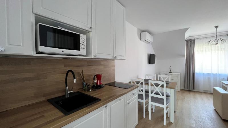 One-Bedroom Apartment (4 Adults) image 1