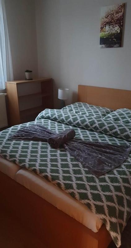 One-Bedroom Apartment image 4
