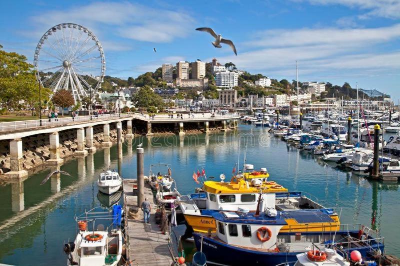Sandybanks Torquay - Seaview and Promenade Apartments - image 24