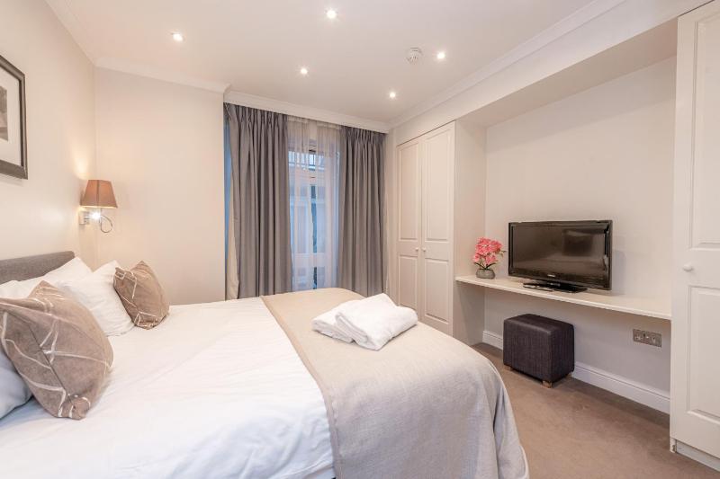 One-Bedroom Apartment image 4