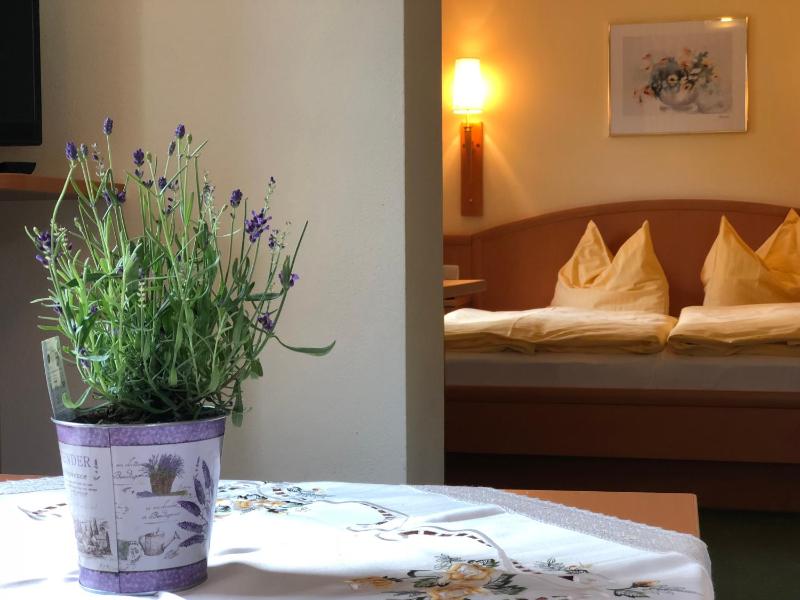 Superior Double Room image 4