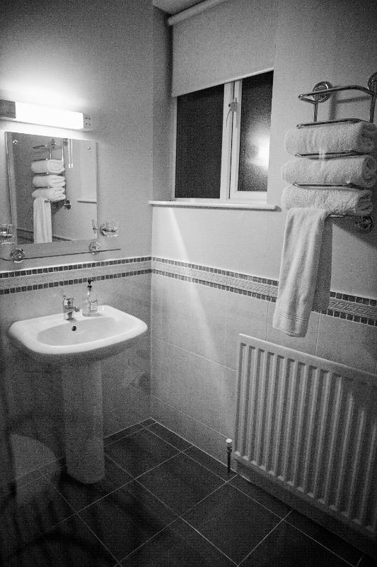 Standard Twin Room image 4