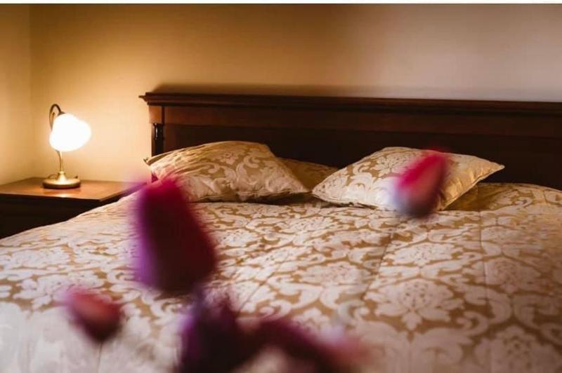 Standard Suite image 2