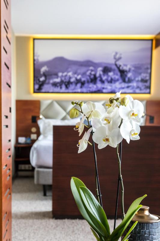 Thalazur Bandol Ile Rousse - Hôtel & Spa - image 40