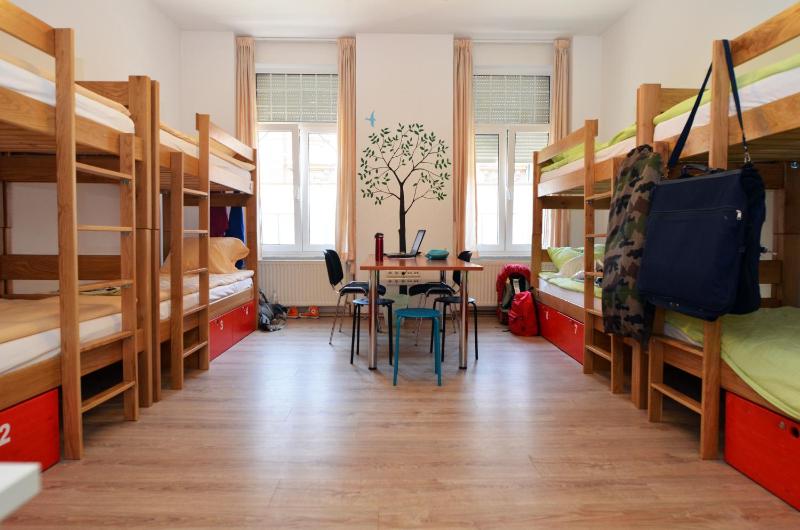 Single Bed in 8-Bed Dormitory Room image 2
