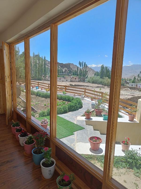Kazdar Villa - image 9