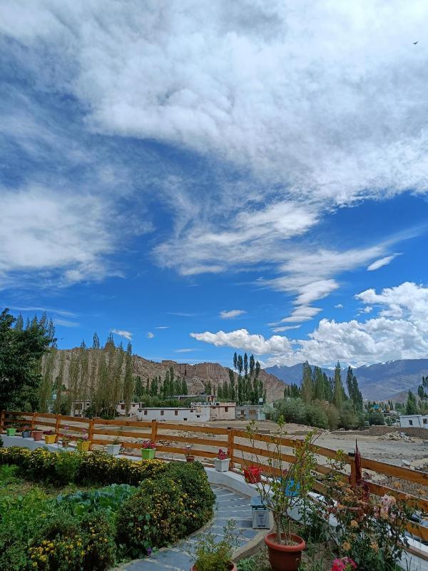 Kazdar Villa - image 4