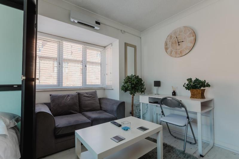 Studio Apartment image 4