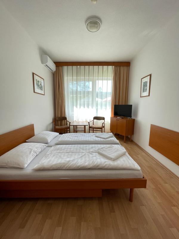 Premium Twin Room image 4