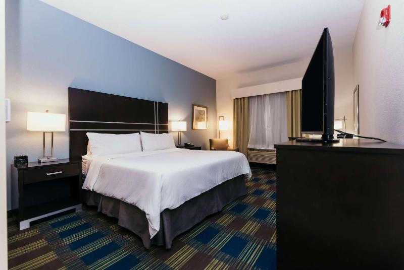 King Room with Mobility Access and Bathtub with Grab Bars, Non-Smoking image 2