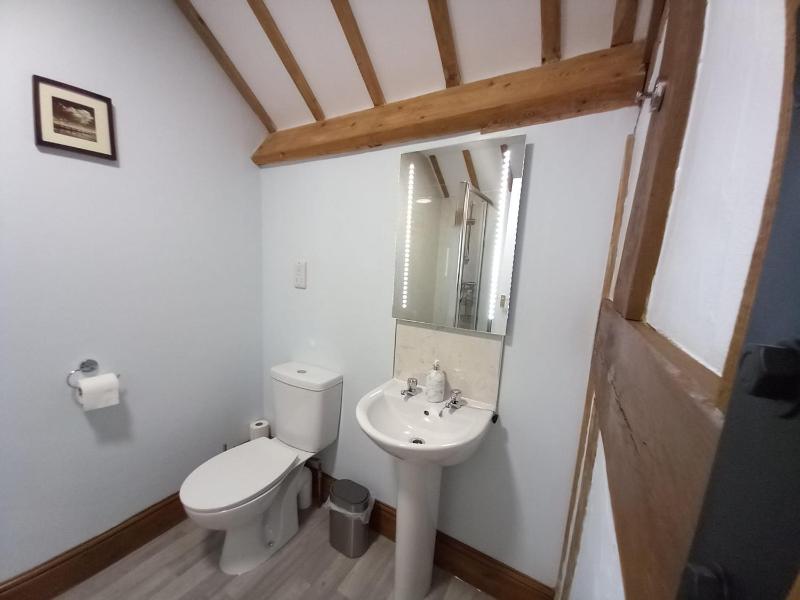 King Room image 1