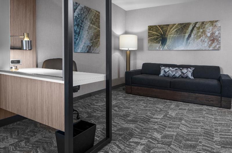 Suite, 1 King, Trundle bed image 1