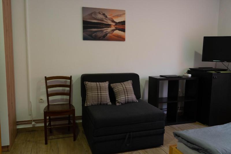 One-Bedroom Apartment image 4