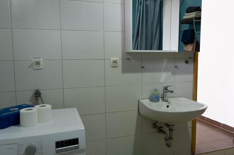 One-Bedroom Apartment image 4